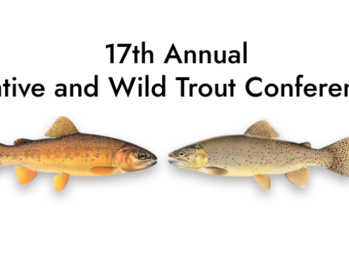 17th Annual Native and Wild Trout Conference